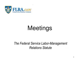 Formality in Meetings under the Federal Service Labor-Management Relations Statute