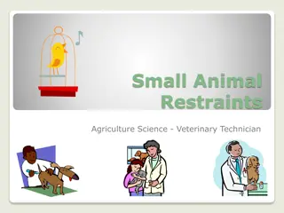 Small Animal Restraints and Safe Handling Practices in Veterinary Technology