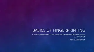 Basics of Fingerprinting Classification and Cataloguing