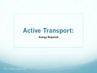 Active Transport: Energy-Driven Cellular Processes