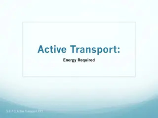 Understanding Active Transport: Energy-Driven Cellular Processes