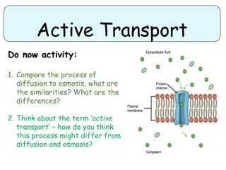 Passive and Active Transport in Cells