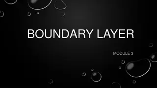 Boundary Layers in Fluid Dynamics