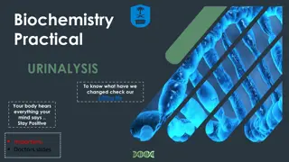 Understanding Urinalysis: Importance and Interpretation of Urine Analysis Parameters