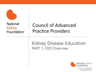 Understanding Chronic Kidney Disease: Overview and Diagnosis
