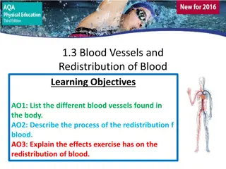 Blood Vessels and Circulation in the Body