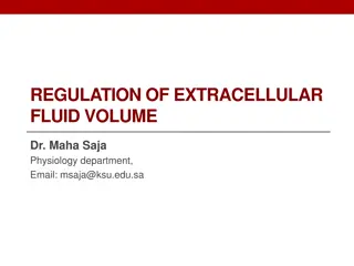 Regulation of Extracellular Fluid Volume in Renal Physiology