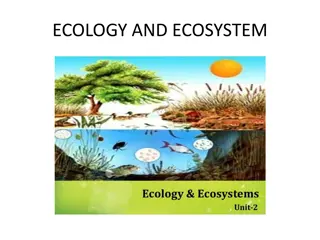 Ecology and Ecosystem: A Comprehensive Overview