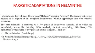 Adaptations in Helminth Parasites: Structural and Morphological Changes