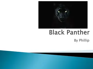 Fascinating Insights into Panthers' Behavior and Characteristics