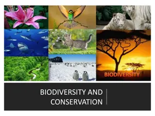 Biodiversity and Conservation: Importance and Key Concepts