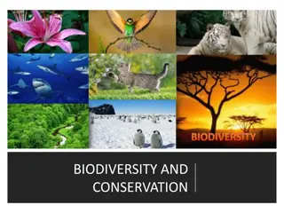 Understanding Biodiversity and Conservation: Importance and Key Concepts
