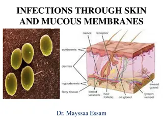 Understanding Infections through Skin and Mucous Membranes