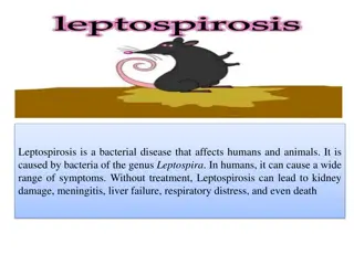 Understanding Leptospirosis: Causes, Symptoms, and Epidemiology
