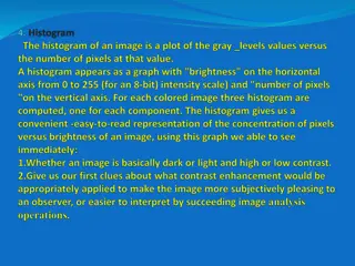 Image Histograms and Modifications