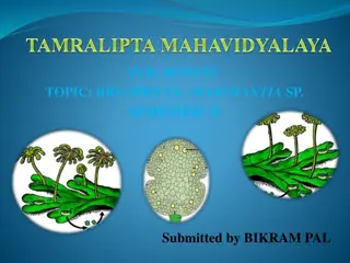 Exploring Bryophyta: A Detailed Study of Marchantia sp. in Botany Semester II by Bikram Pal