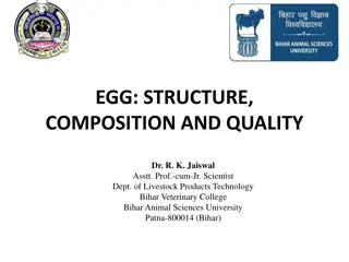 Egg: Structure, Composition, and Quality Insights
