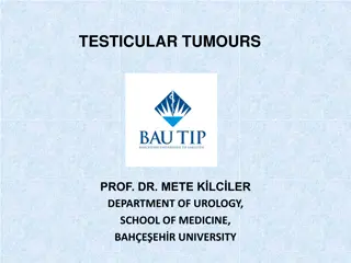 Understanding Testicular Tumors: Types, Classification, and Clinical Findings
