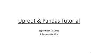 Guide to Analyzing Data with Uproot and Pandas in Python