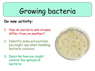 Bacteria Cultures and Growth: Key Concepts and Practical Tips