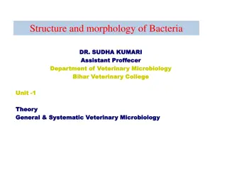 Overview of Bacterial Structure and Morphology in Veterinary Microbiology