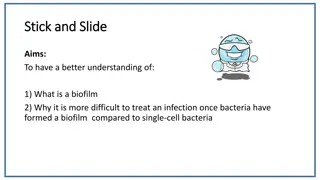 Understanding Biofilms and Antibiotic Resistance in Healthcare Environments