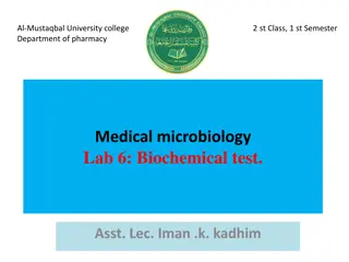 Microbiology Lab Tests for Identifying Bacterial Pathogens