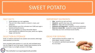 Discover the Nutritional Benefits of Sweet Potatoes and Fun Activities to Explore