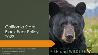 California State Black Bear Policy 2022 Overview