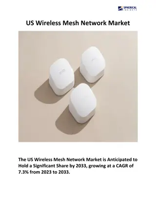 US Wireless Mesh Network Market