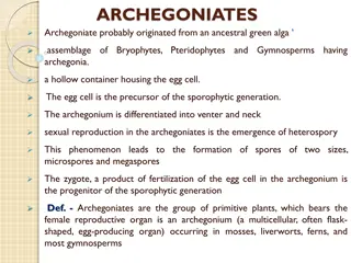 Archegoniates: Primitive Plants with Unique Reproductive Structures