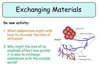 Adaptations for Efficient Material Exchange in Organisms