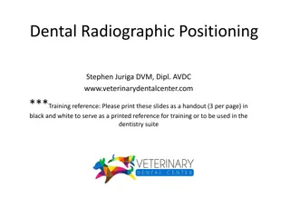 Veterinary Dental Radiographic Positioning Techniques