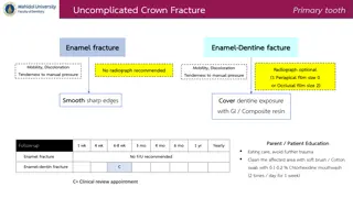 Pediatric Dental Crown and Root Fractures Management Guidelines