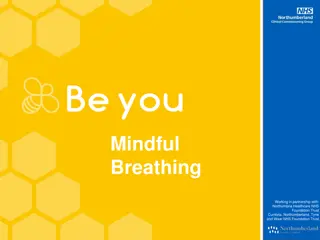 Mindful Breathing: A Powerful Technique for Calmness and Focus