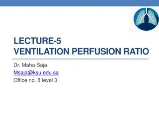 Ventilation-Perfusion Ratio in Pulmonary Circulation