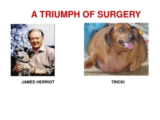 A Triumph of Surgery by James Herriot - Book Review