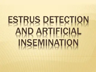 Reproductive Management in Animals: From Estrus Detection to Artificial Insemination