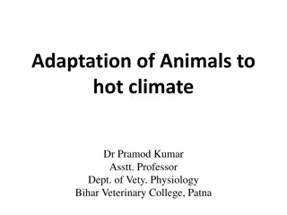 Adaptation of Animals to Hot Climates - Understanding Thermal Regulation Strategies