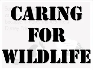 Responsible Wildlife Interaction Guidelines