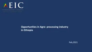 Opportunities in Ethiopia's Agro-Processing Industry