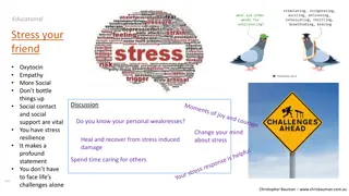 Stress and Building Resilience - A Holistic Approach