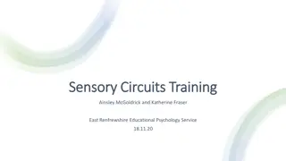 Sensory Circuits Training and Integration