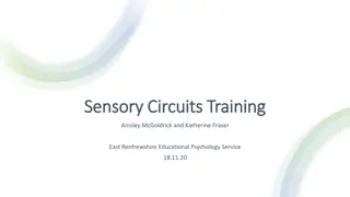 Understanding Sensory Circuits Training and Integration