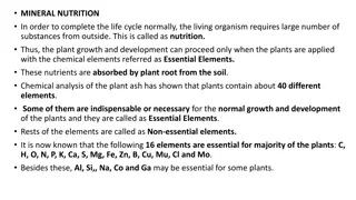 Essential Elements for Plant Growth: A Comprehensive Nutritional Guide