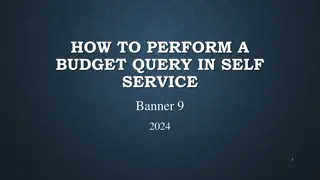 Efficient Budget Query Process in Self-Service Banner 9.0
