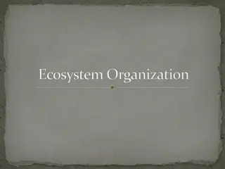 Ecosystem Organization and Hierarchy