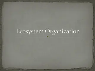 Understanding Ecosystem Organization and Hierarchy