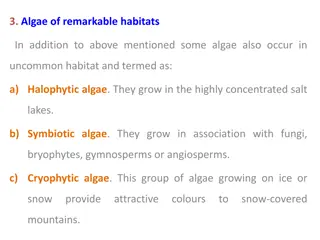 Algae Diversity: Habitats and Classification