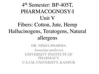 Exploring Fibers: Cotton, Jute, and Hemp - Pharmacognosy Insights